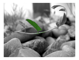 © schwald-werbegestaltung // Aboutpixel.de Balance